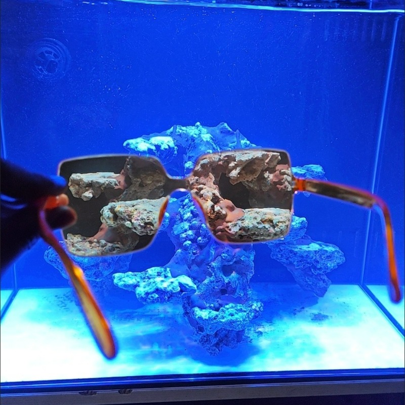Coral Observation Glasses Cora - огляд і ціна Photography Natural Lighting