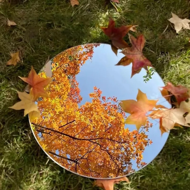 9.5/7.5cm Handheld Selfie Mirr - огляд і ціна Photography Solo